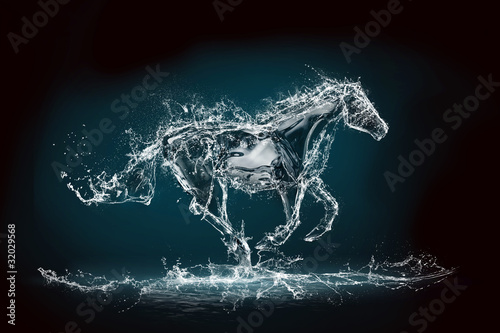 water horse