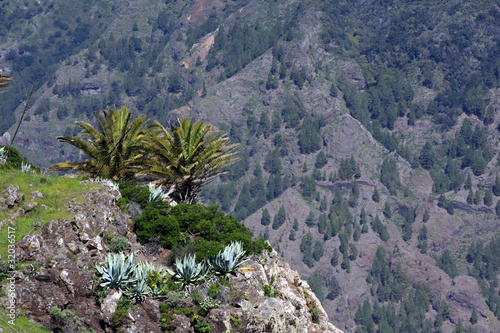 Landscape in La Gomera, Canary island,Spain
