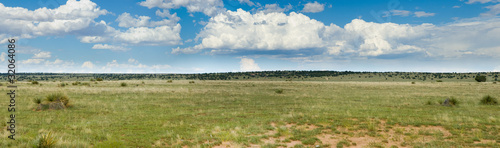 Grassy prairie of Texas - panorama