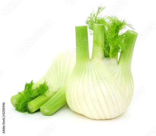 Fenchel