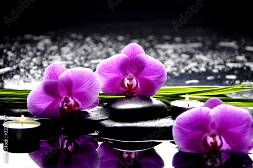 Spa still life with set of pink orchid and stones reflection