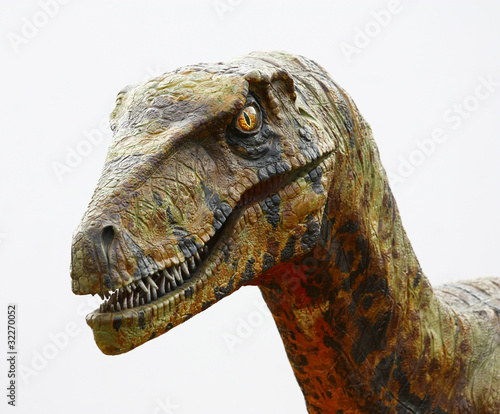 Deinonychus dinosaur head on white