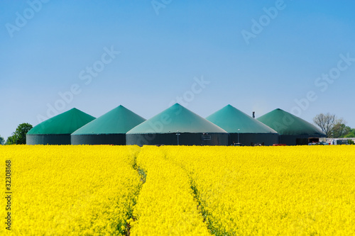 Biogasanlage hinter einem Rapsfeld 3