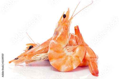 shrimps