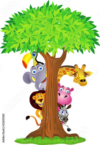 Animal hiding behind tree