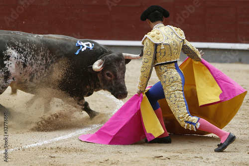 Toro y torero