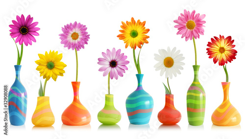 Daisy flowers in vases