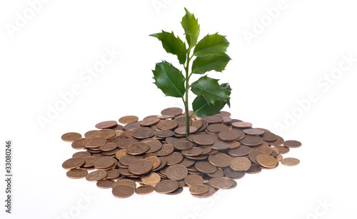 Money and plant