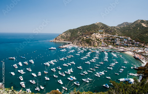 Catalina Harbor on Avalon