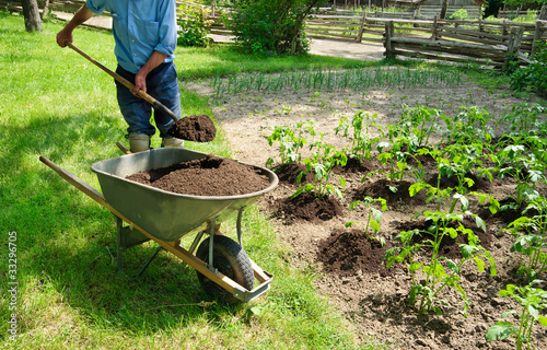 Growing Potatoes