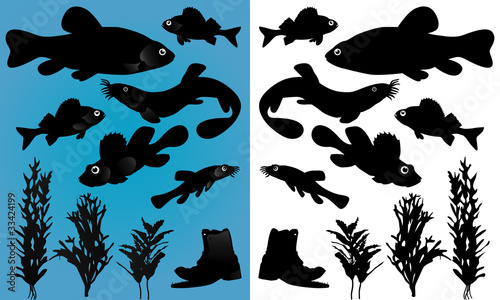 fish silhouettes