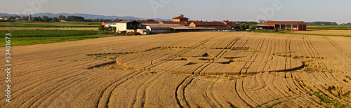 Real UFO crop circles in the field - Poirino (TO), Italy