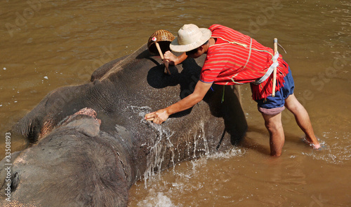 Elefant am Baden