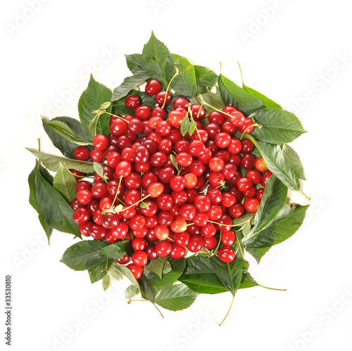 Cherry in leaves