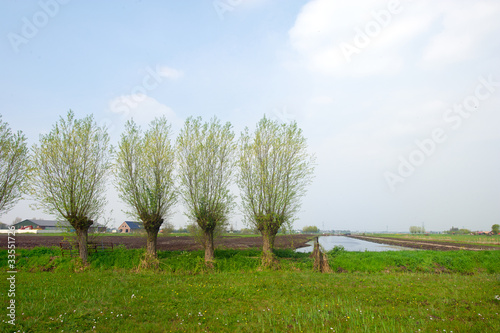 Dutch agriculture landscape