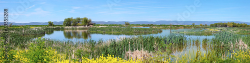 National wildlife refuge & marshes, Klamath Falls Oregon.