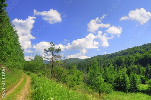 Bieszczady National Park