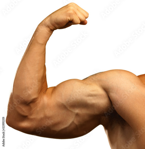 strong biceps