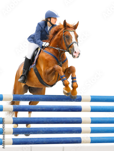 Equestrian sport: show jumping / young woman and sorrel stallion