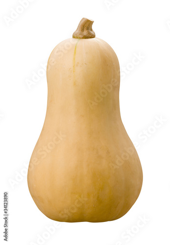 Butternut Squash Isolated