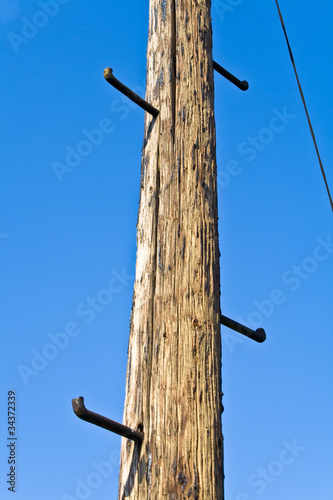 Old telephone pole with rungs for climbing