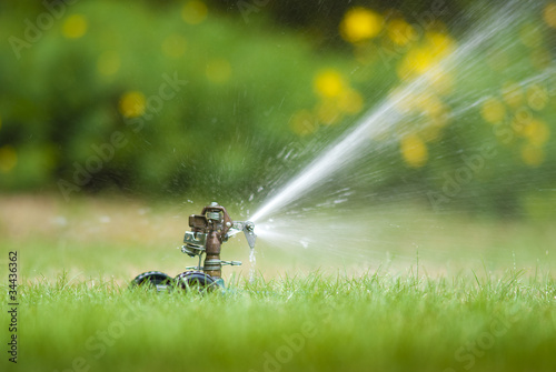 Lawn sprinkler spraying water over green grass in summer