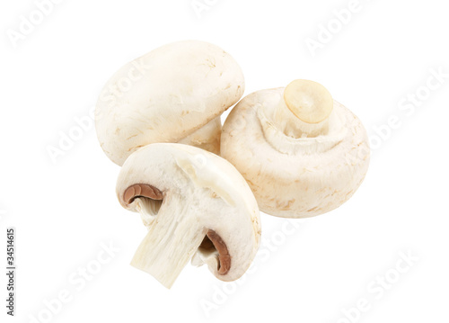 Champignon mushrooms isolated on white backround