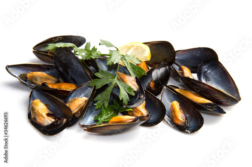 cozze