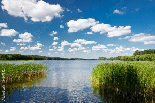 Summer view at the lake in the park