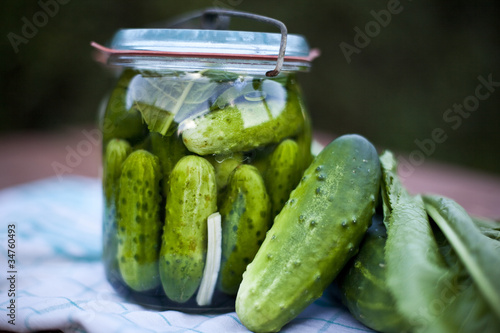 pickled cucumber / ogórki kiszone lib małosolne