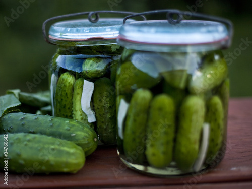 pickled cucumber / ogórki kiszone