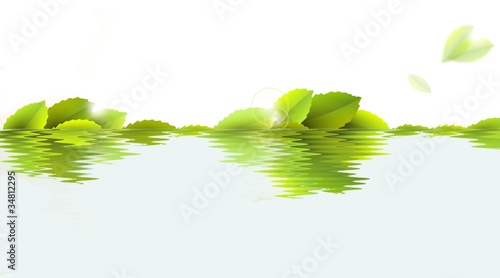 green leaves in water - illustration