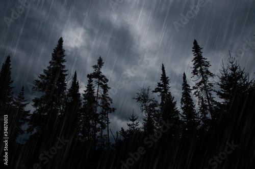 Rainstorm in forest