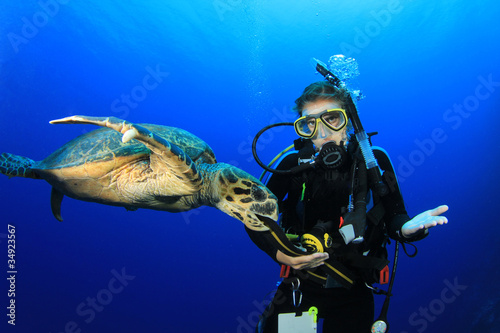 Female Scuba Diver encounters curious Hawksbill Sea Turtle