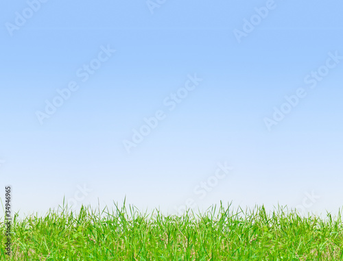 Clean blue sky background with green grass