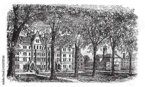 Harvard University, Cambridge, Massachussets vintage engraving