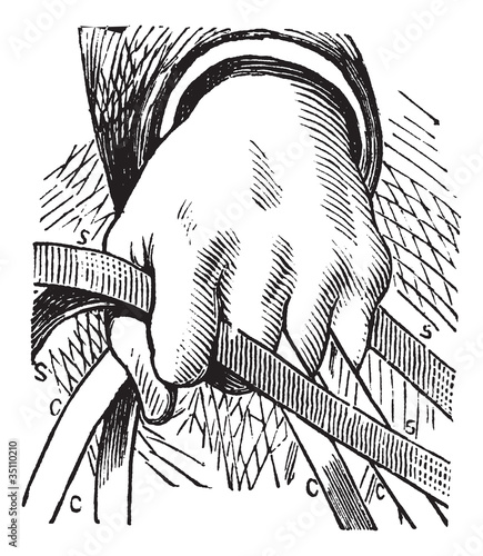 How to hold the reins of horse in double riding vintage engravin