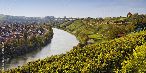 Weinberg Bad Cannstatt