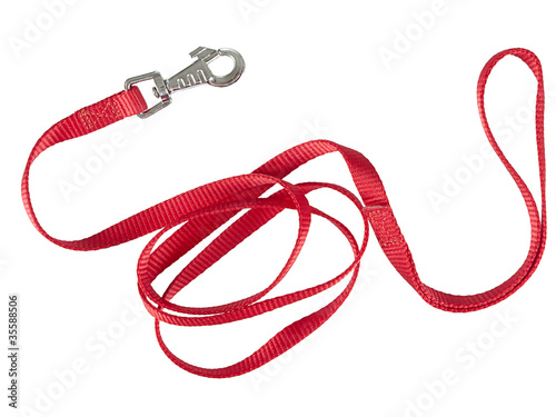 Red nylon dog lead or leash isolated over white