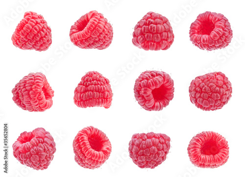 Red raspberry collection