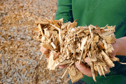 Hand mit Holz Hackschnitzel