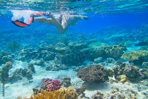 Woman snorkeling in Red Sea