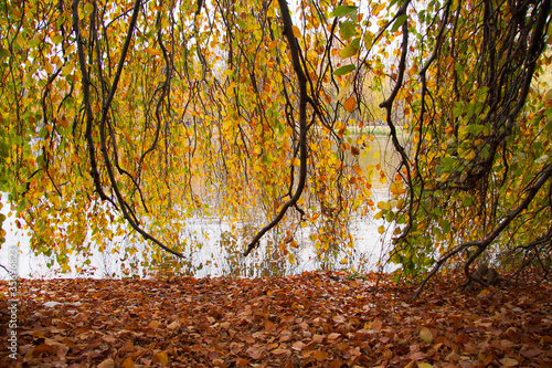 Jesień nad wodą