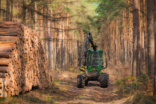 Rückezug im Wald