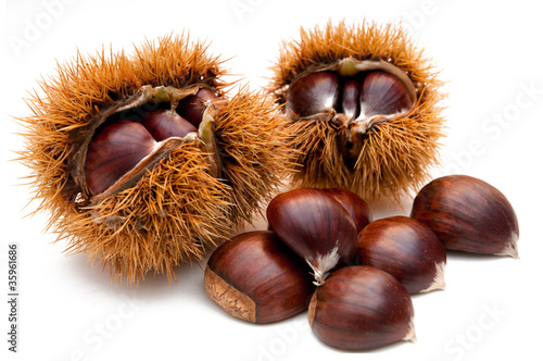 Chestnuts isolated on white