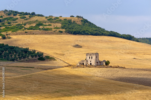 Between Puglia and Basilicata (Italy): Country landscape