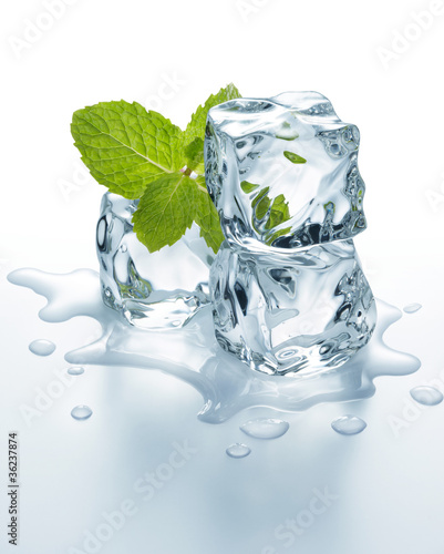 ice cubes with mint