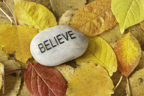 Believe Rock with Fall Leaves