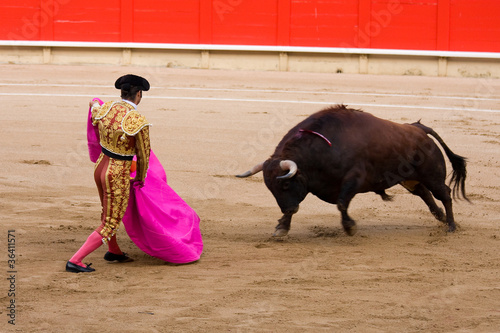 Bullfighting