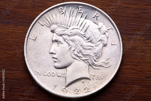 USA Peace Silver Dollar